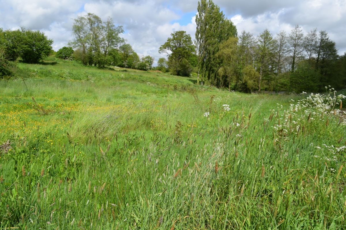 Bocage, actions de préservation de la biodiversité terrestre avec Avril