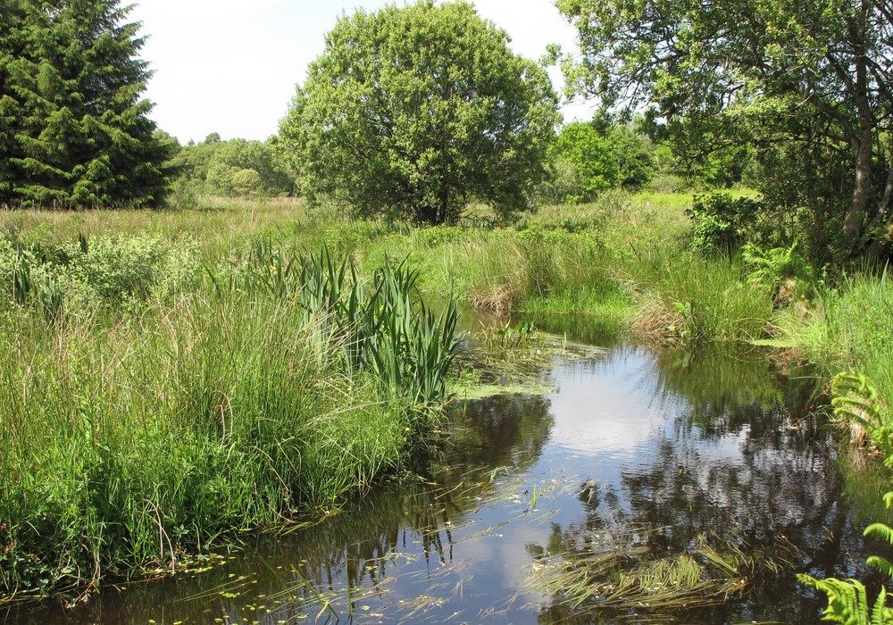 Valoriser les écosystèmes terrestres et aquatiques avec la gestion des espaces naturels d'Avril